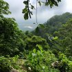 Núi rừng ngoại cảnh – Phong thủy Trọng Hùng
