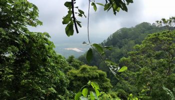 Núi rừng ngoại cảnh – Phong thủy Trọng Hùng