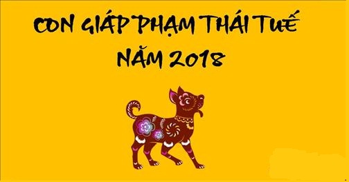 con giáp phạm thái tuế 2018 – phong thủy trọng hùng