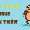 xem sao hạn 2018 tuổi Thân  – phong thủy trọng hùng